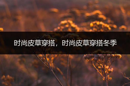 时尚皮草穿搭，时尚皮草穿搭冬季