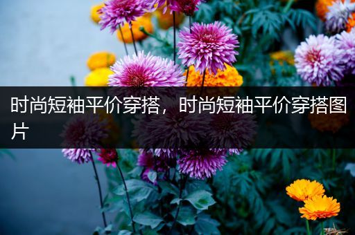 时尚短袖平价穿搭，时尚短袖平价穿搭图片