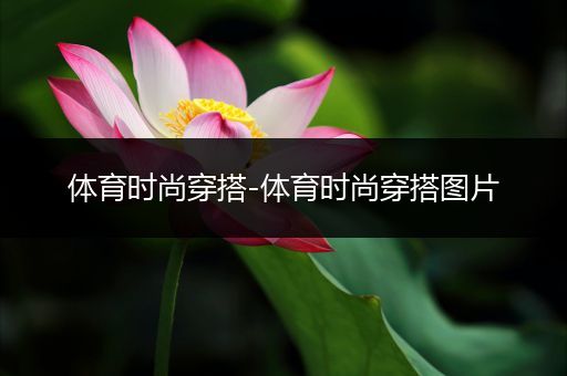 体育时尚穿搭-体育时尚穿搭图片