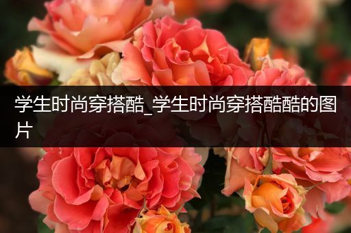 学生时尚穿搭酷_学生时尚穿搭酷酷的图片