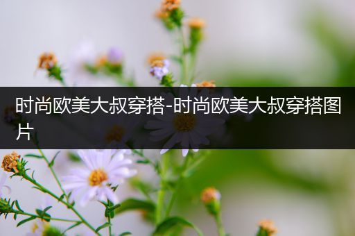 时尚欧美大叔穿搭-时尚欧美大叔穿搭图片