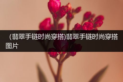 （翡翠手链时尚穿搭)翡翠手链时尚穿搭图片