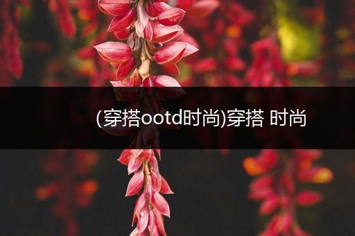 （穿搭ootd时尚)穿搭 时尚