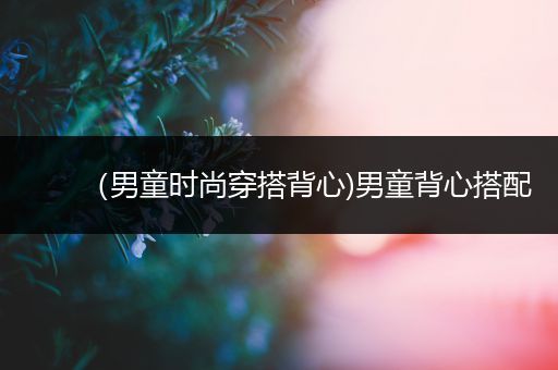 （男童时尚穿搭背心)男童背心搭配