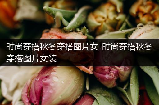 时尚穿搭秋冬穿搭图片女-时尚穿搭秋冬穿搭图片女装