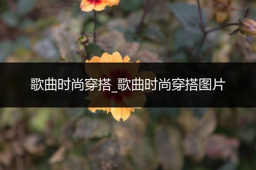 歌曲时尚穿搭_歌曲时尚穿搭图片