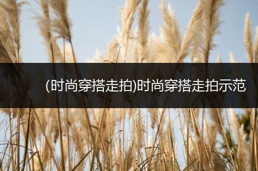 （时尚穿搭走拍)时尚穿搭走拍示范