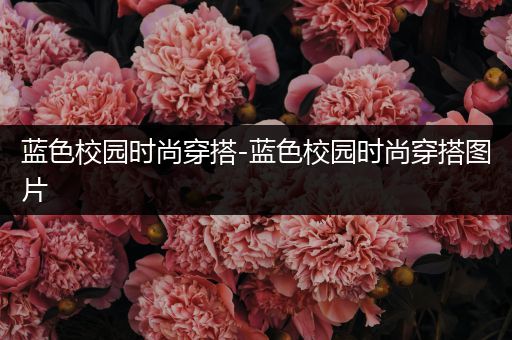 蓝色校园时尚穿搭-蓝色校园时尚穿搭图片