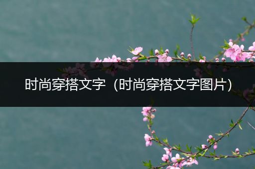 时尚穿搭文字（时尚穿搭文字图片）