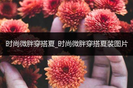 时尚微胖穿搭夏_时尚微胖穿搭夏装图片