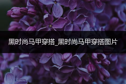 黑时尚马甲穿搭_黑时尚马甲穿搭图片