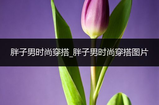 胖子男时尚穿搭_胖子男时尚穿搭图片