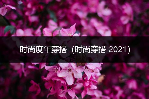 时尚度年穿搭（时尚穿搭 2021）