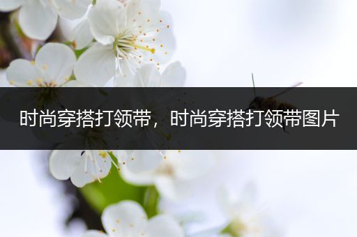 时尚穿搭打领带，时尚穿搭打领带图片