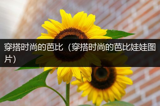 穿搭时尚的芭比（穿搭时尚的芭比娃娃图片）