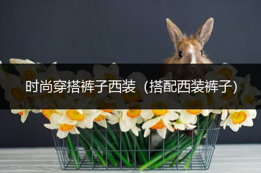 时尚穿搭裤子西装（搭配西装裤子）