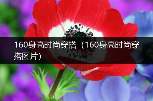 160身高时尚穿搭（160身高时尚穿搭图片）