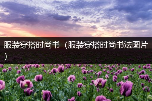 服装穿搭时尚书（服装穿搭时尚书法图片）