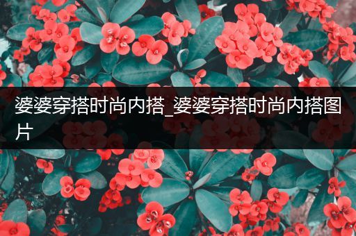 婆婆穿搭时尚内搭_婆婆穿搭时尚内搭图片