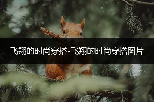 飞翔的时尚穿搭-飞翔的时尚穿搭图片