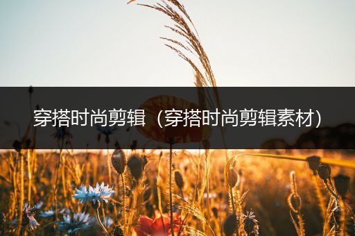 穿搭时尚剪辑（穿搭时尚剪辑素材）