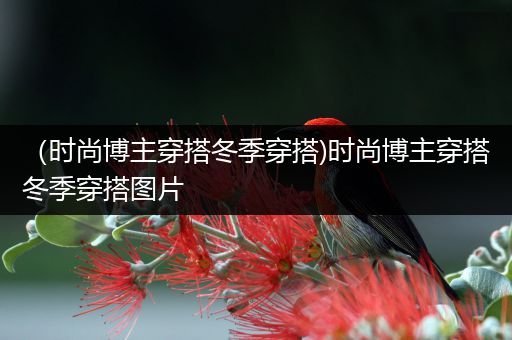 （时尚博主穿搭冬季穿搭)时尚博主穿搭冬季穿搭图片