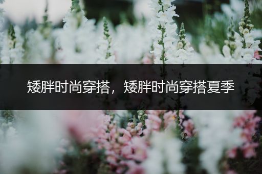 矮胖时尚穿搭，矮胖时尚穿搭夏季