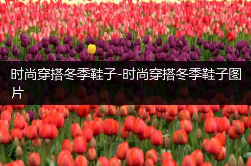 时尚穿搭冬季鞋子-时尚穿搭冬季鞋子图片