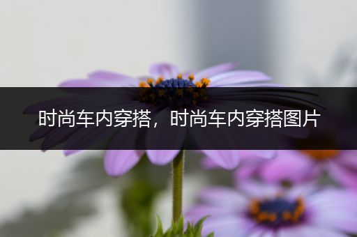 时尚车内穿搭，时尚车内穿搭图片