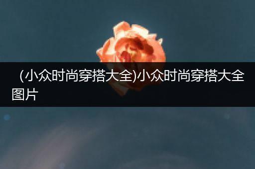 （小众时尚穿搭大全)小众时尚穿搭大全图片