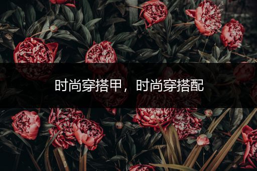 时尚穿搭甲，时尚穿搭配