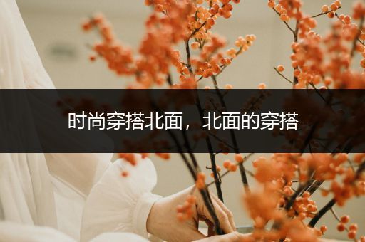 时尚穿搭北面，北面的穿搭