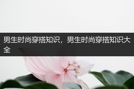 男生时尚穿搭知识，男生时尚穿搭知识大全