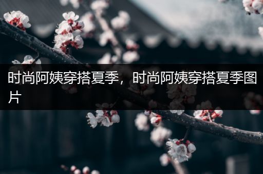 时尚阿姨穿搭夏季，时尚阿姨穿搭夏季图片