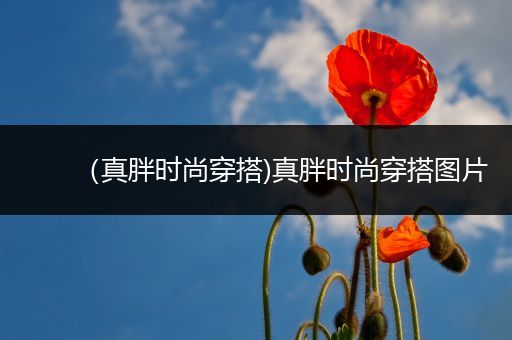 （真胖时尚穿搭)真胖时尚穿搭图片