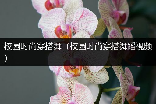 校园时尚穿搭舞（校园时尚穿搭舞蹈视频）