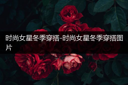 时尚女星冬季穿搭-时尚女星冬季穿搭图片