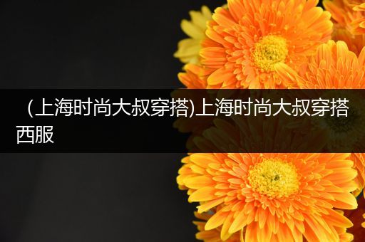 （上海时尚大叔穿搭)上海时尚大叔穿搭西服