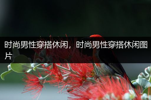 时尚男性穿搭休闲，时尚男性穿搭休闲图片