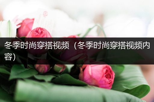 冬季时尚穿搭视频（冬季时尚穿搭视频内容）