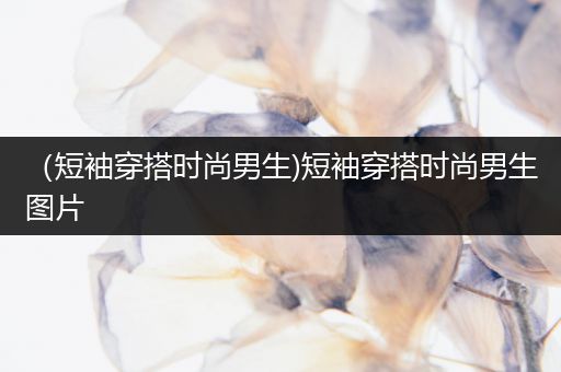 （短袖穿搭时尚男生)短袖穿搭时尚男生图片