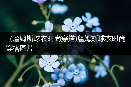 （詹姆斯球衣时尚穿搭)詹姆斯球衣时尚穿搭图片