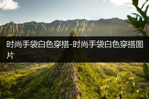 时尚手袋白色穿搭-时尚手袋白色穿搭图片