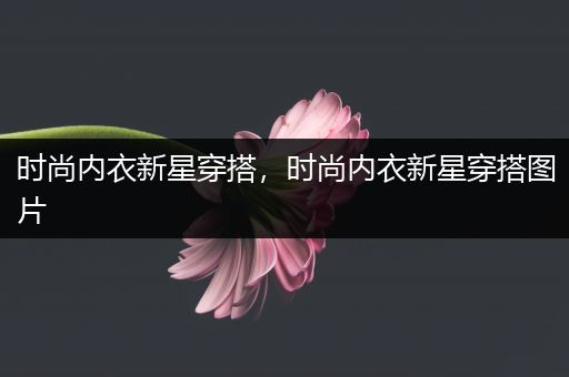 时尚内衣新星穿搭，时尚内衣新星穿搭图片