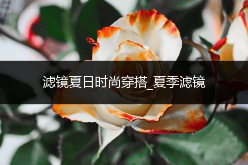 滤镜夏日时尚穿搭_夏季滤镜