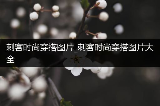 刺客时尚穿搭图片_刺客时尚穿搭图片大全