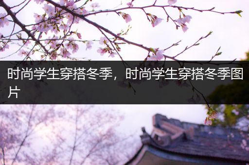 时尚学生穿搭冬季，时尚学生穿搭冬季图片