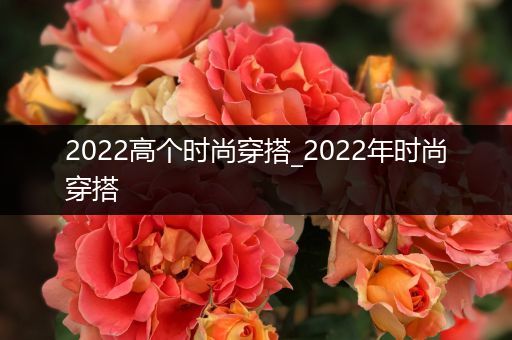 2022高个时尚穿搭_2022年时尚穿搭