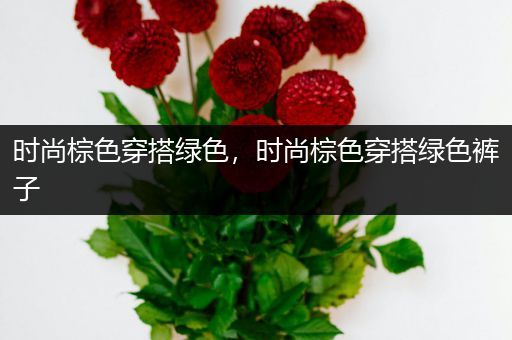 时尚棕色穿搭绿色，时尚棕色穿搭绿色裤子