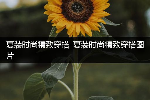 夏装时尚精致穿搭-夏装时尚精致穿搭图片